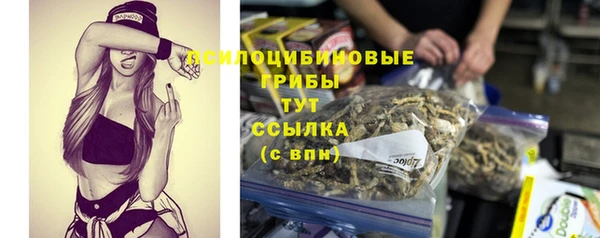 экстази Липки